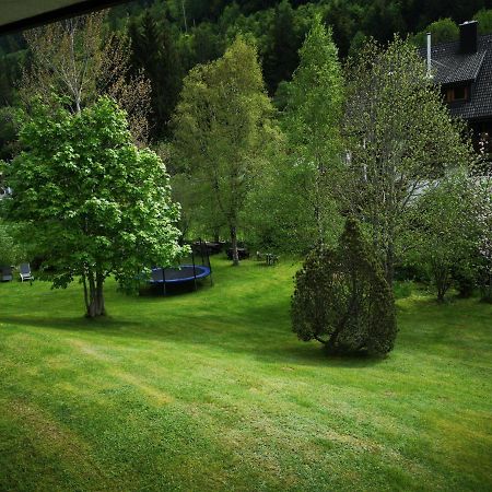 B1 Albmatte-Fewo Sauna, Hallenbad Aussenbecken Massagen Nebenan Menzenschwand-Hinterdorf Kültér fotó