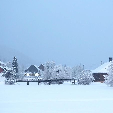 B1 Albmatte-Fewo Sauna, Hallenbad Aussenbecken Massagen Nebenan Menzenschwand-Hinterdorf Kültér fotó