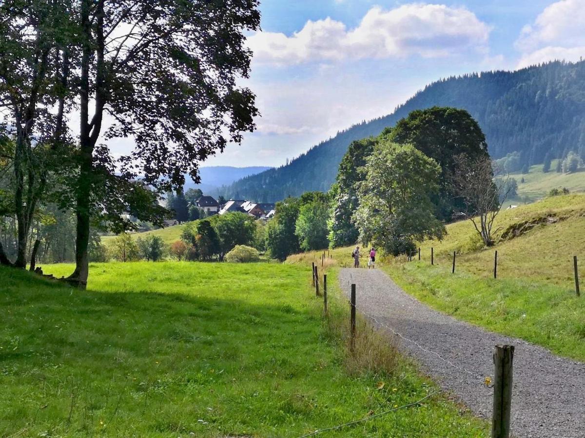 B1 Albmatte-Fewo Sauna, Hallenbad Aussenbecken Massagen Nebenan Menzenschwand-Hinterdorf Kültér fotó