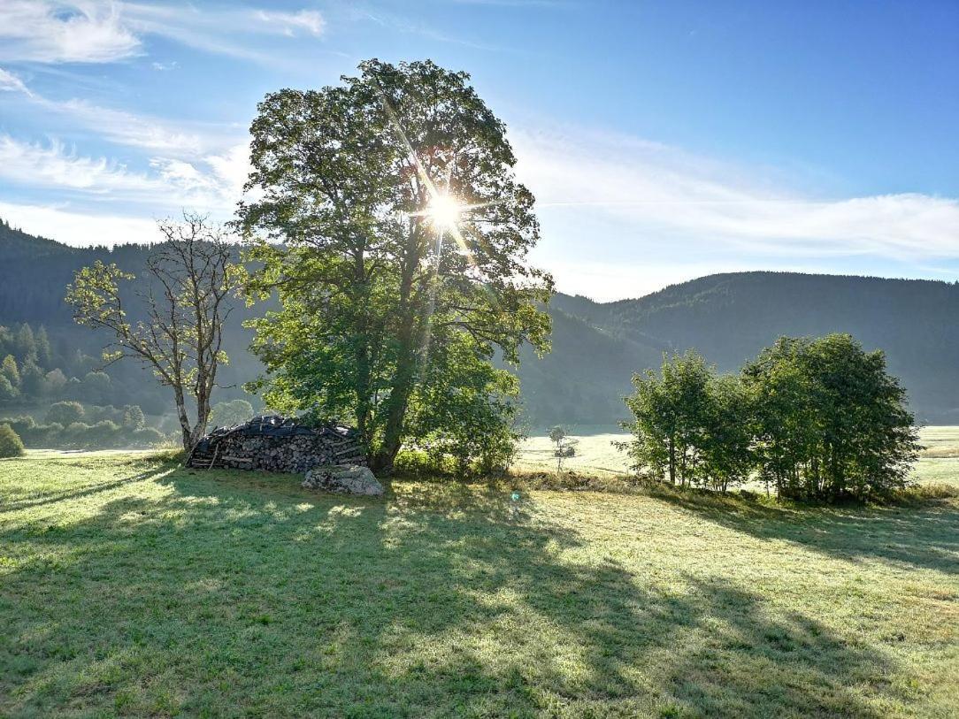 B1 Albmatte-Fewo Sauna, Hallenbad Aussenbecken Massagen Nebenan Menzenschwand-Hinterdorf Kültér fotó