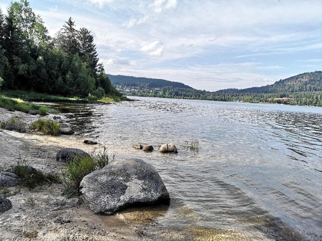 B1 Albmatte-Fewo Sauna, Hallenbad Aussenbecken Massagen Nebenan Menzenschwand-Hinterdorf Kültér fotó