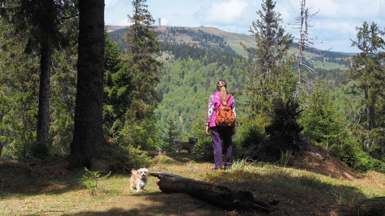 B1 Albmatte-Fewo Sauna, Hallenbad Aussenbecken Massagen Nebenan Menzenschwand-Hinterdorf Kültér fotó