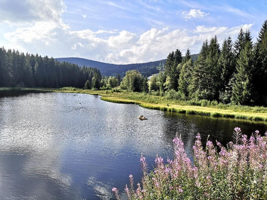 B1 Albmatte-Fewo Sauna, Hallenbad Aussenbecken Massagen Nebenan Menzenschwand-Hinterdorf Kültér fotó