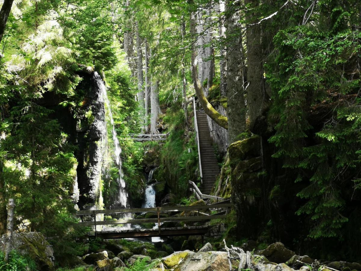 B1 Albmatte-Fewo Sauna, Hallenbad Aussenbecken Massagen Nebenan Menzenschwand-Hinterdorf Kültér fotó