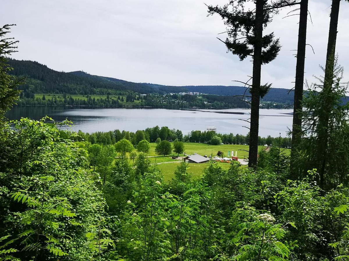 B1 Albmatte-Fewo Sauna, Hallenbad Aussenbecken Massagen Nebenan Menzenschwand-Hinterdorf Kültér fotó