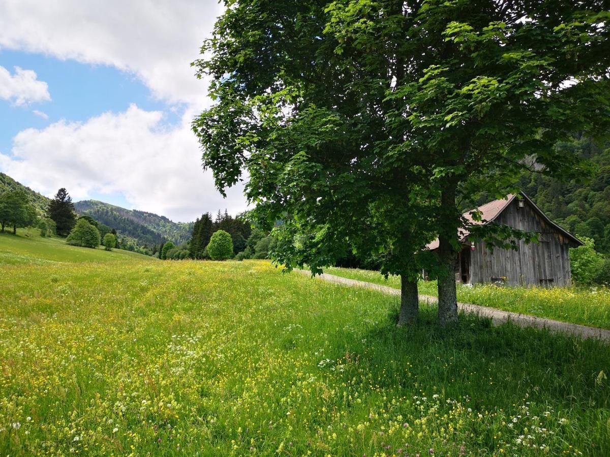 B1 Albmatte-Fewo Sauna, Hallenbad Aussenbecken Massagen Nebenan Menzenschwand-Hinterdorf Kültér fotó