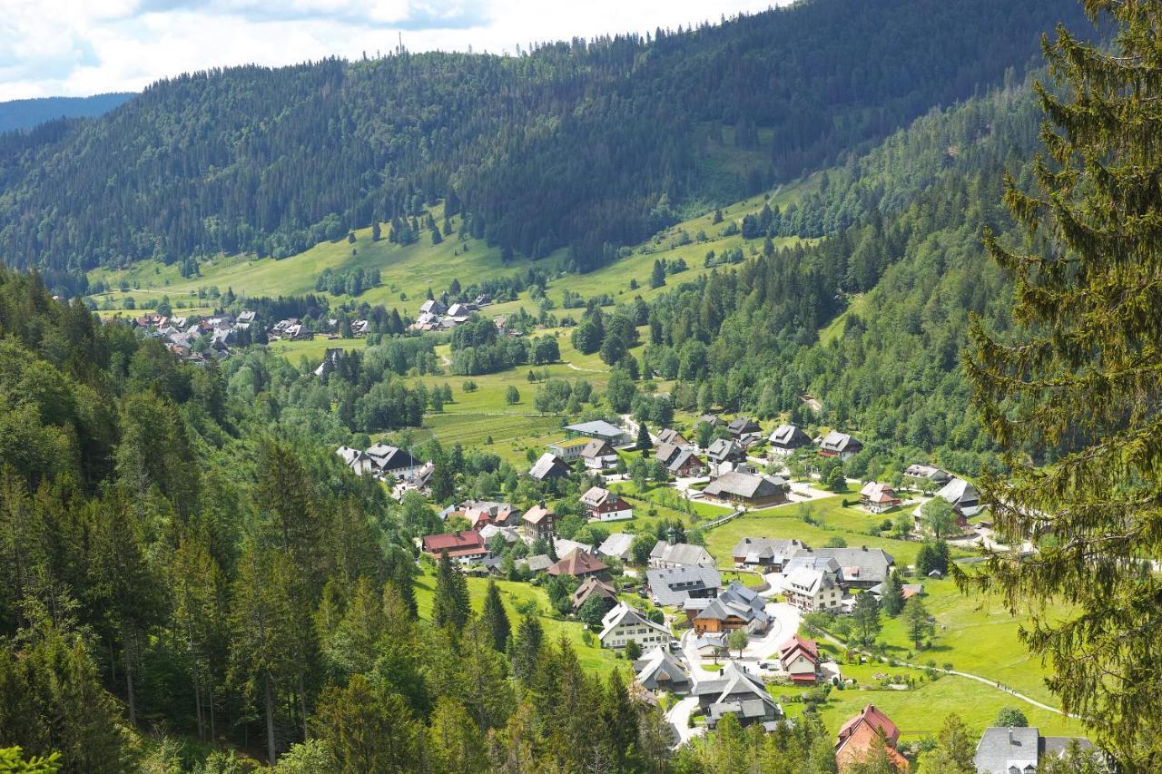B1 Albmatte-Fewo Sauna, Hallenbad Aussenbecken Massagen Nebenan Menzenschwand-Hinterdorf Kültér fotó