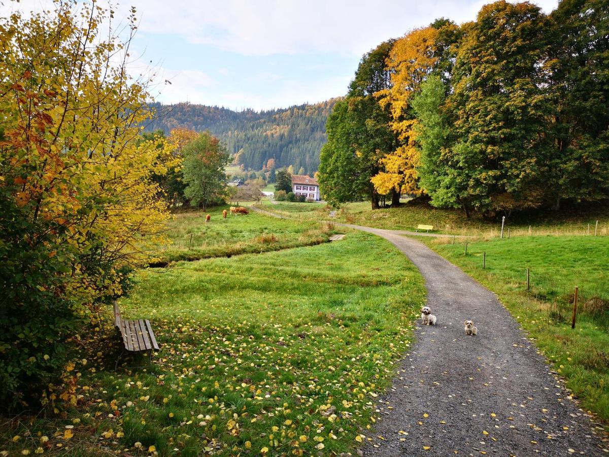 B1 Albmatte-Fewo Sauna, Hallenbad Aussenbecken Massagen Nebenan Menzenschwand-Hinterdorf Kültér fotó