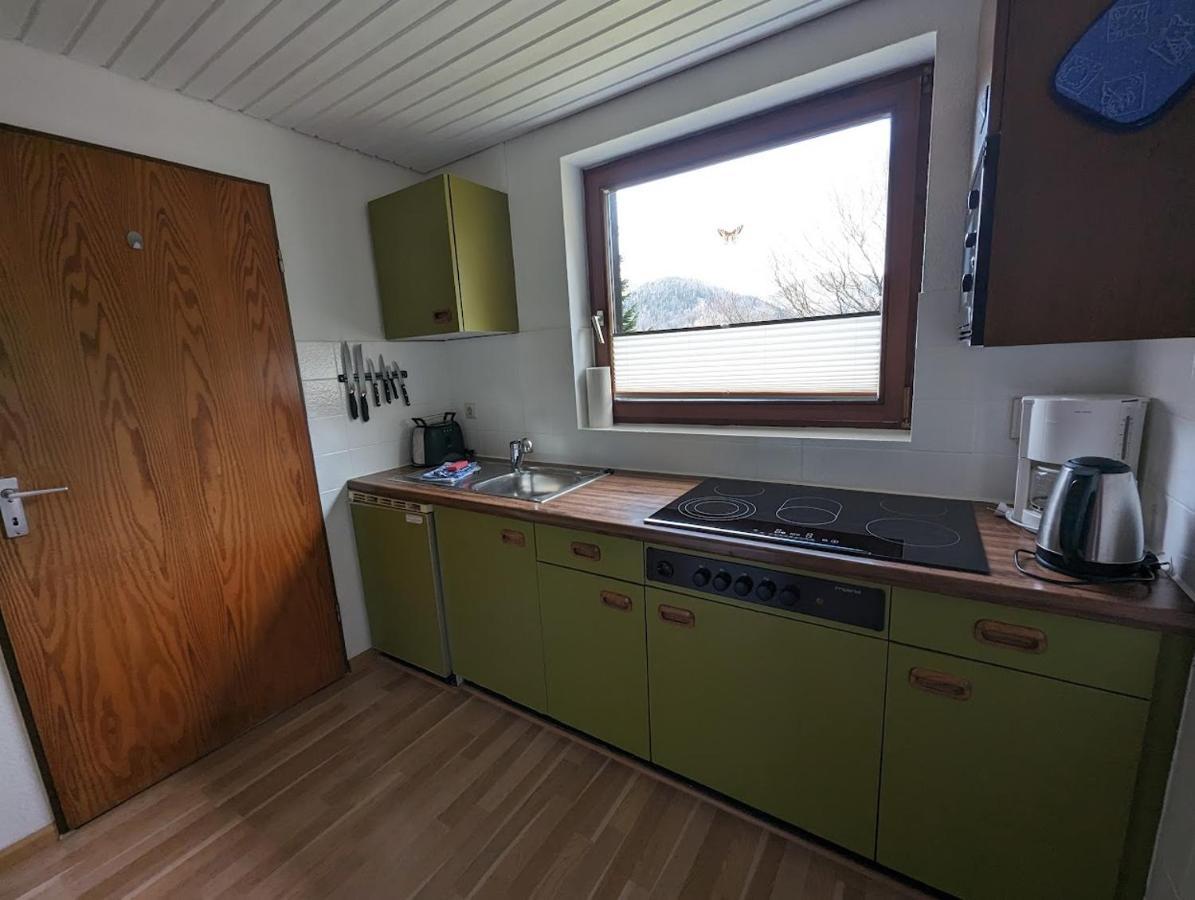 B1 Albmatte-Fewo Sauna, Hallenbad Aussenbecken Massagen Nebenan Menzenschwand-Hinterdorf Kültér fotó