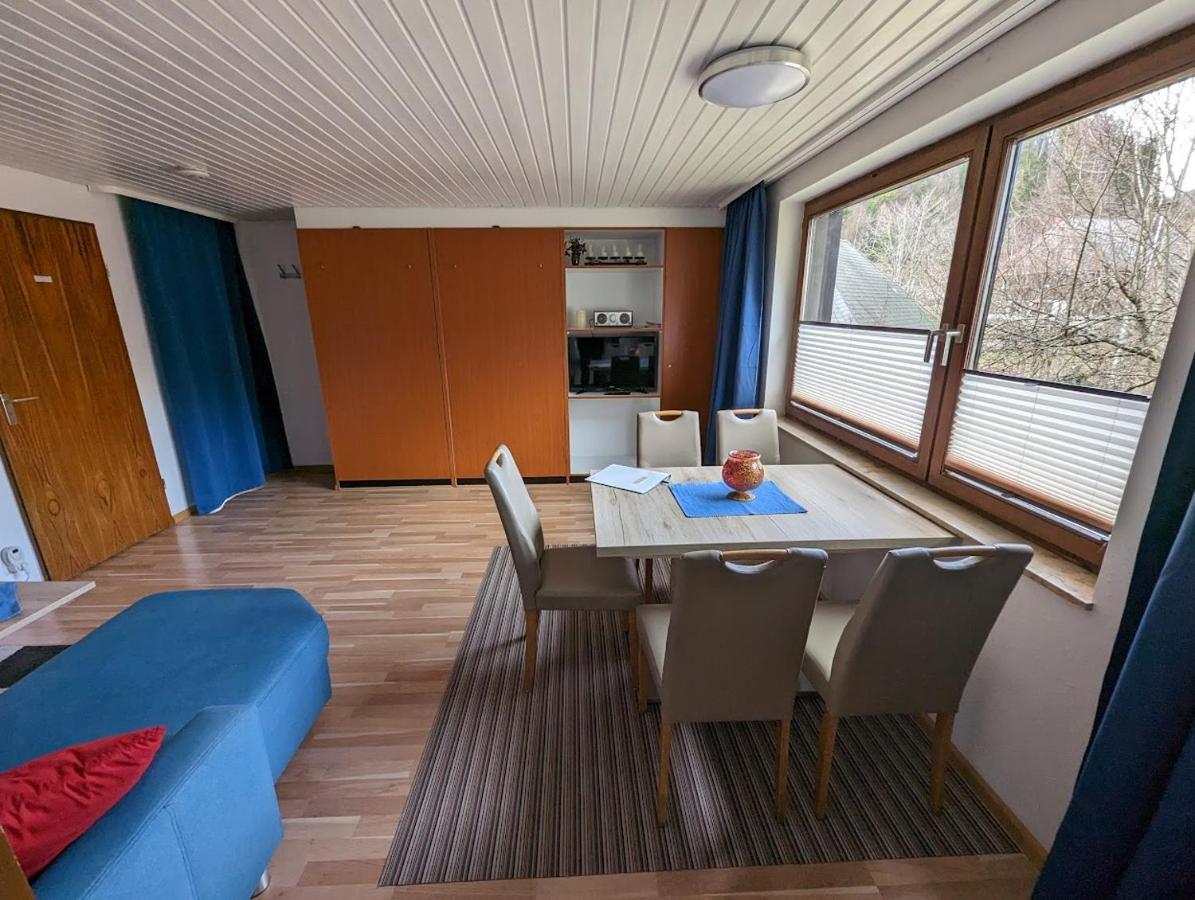 B1 Albmatte-Fewo Sauna, Hallenbad Aussenbecken Massagen Nebenan Menzenschwand-Hinterdorf Kültér fotó