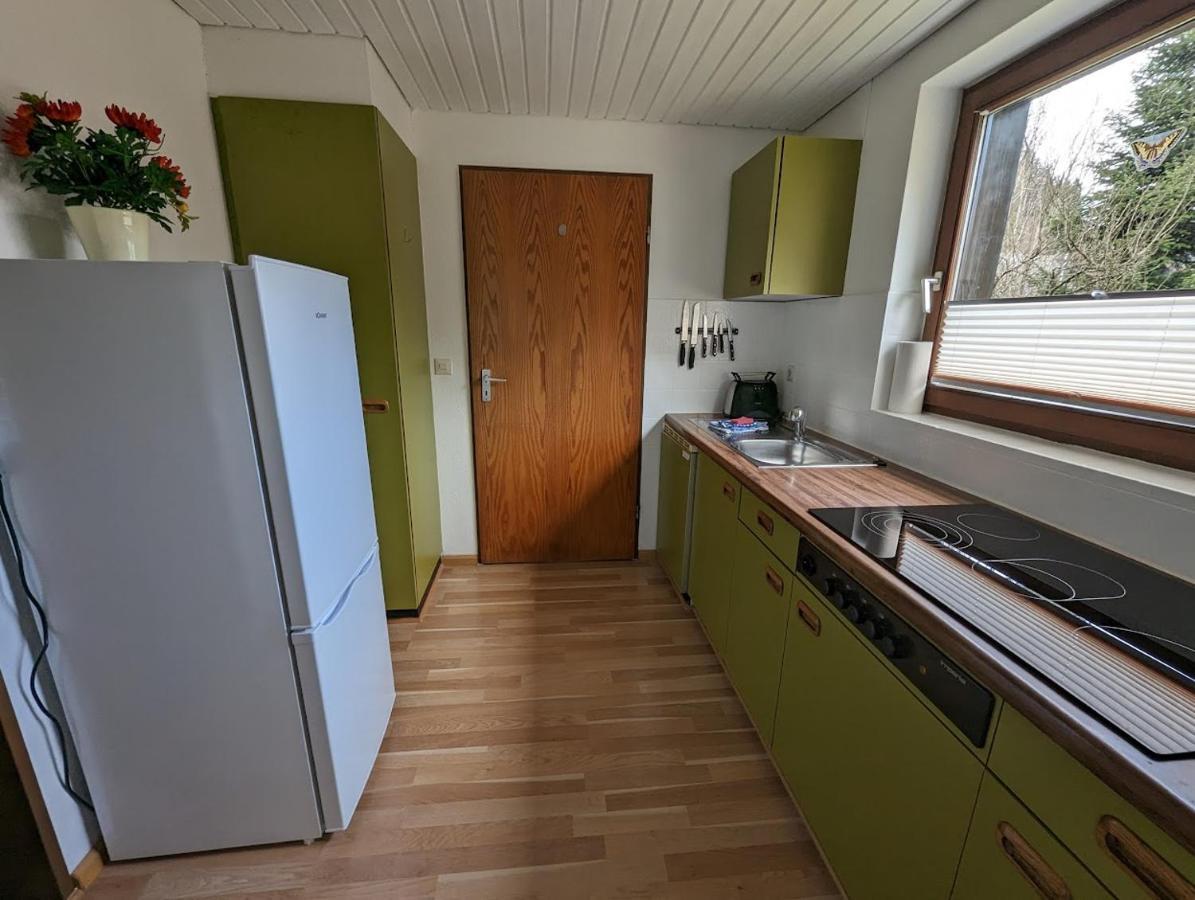 B1 Albmatte-Fewo Sauna, Hallenbad Aussenbecken Massagen Nebenan Menzenschwand-Hinterdorf Kültér fotó