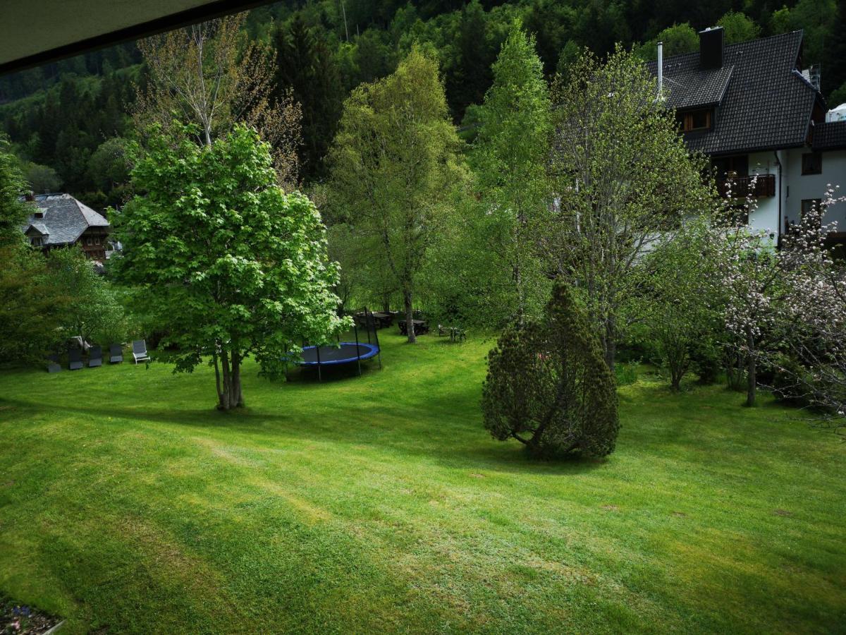 B1 Albmatte-Fewo Sauna, Hallenbad Aussenbecken Massagen Nebenan Menzenschwand-Hinterdorf Kültér fotó