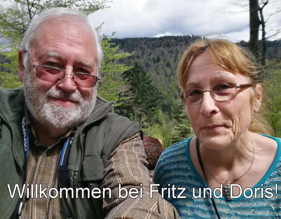 B1 Albmatte-Fewo Sauna, Hallenbad Aussenbecken Massagen Nebenan Menzenschwand-Hinterdorf Kültér fotó