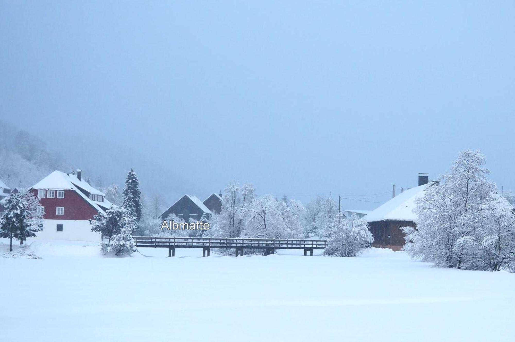 B1 Albmatte-Fewo Sauna, Hallenbad Aussenbecken Massagen Nebenan Menzenschwand-Hinterdorf Kültér fotó