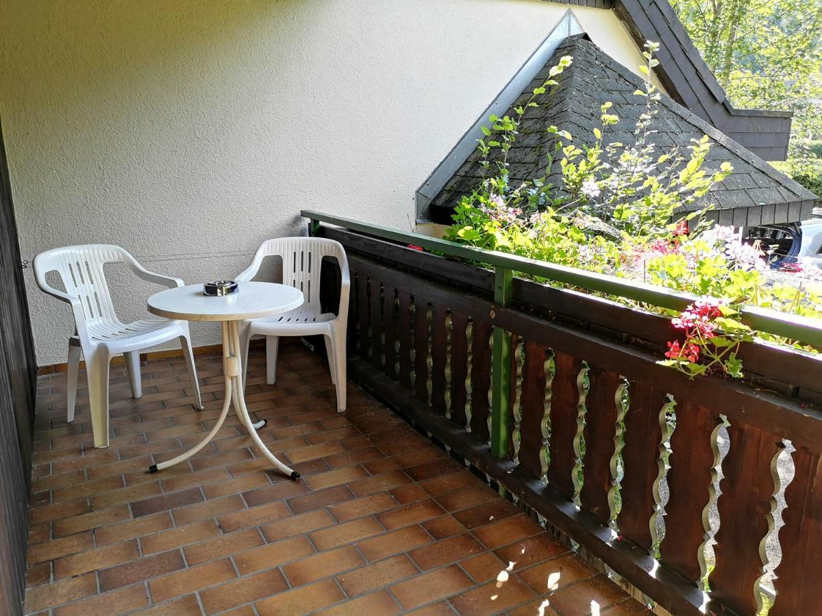 B1 Albmatte-Fewo Sauna, Hallenbad Aussenbecken Massagen Nebenan Menzenschwand-Hinterdorf Kültér fotó