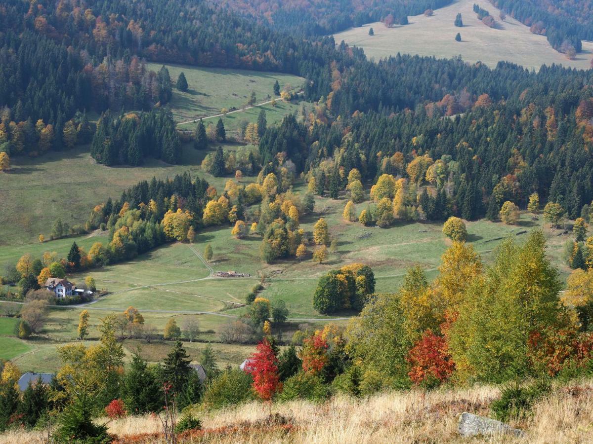 B1 Albmatte-Fewo Sauna, Hallenbad Aussenbecken Massagen Nebenan Menzenschwand-Hinterdorf Kültér fotó