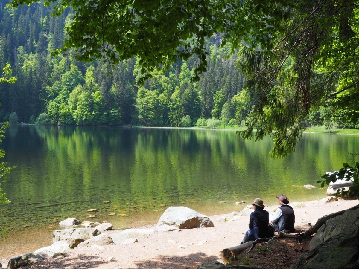 B1 Albmatte-Fewo Sauna, Hallenbad Aussenbecken Massagen Nebenan Menzenschwand-Hinterdorf Kültér fotó