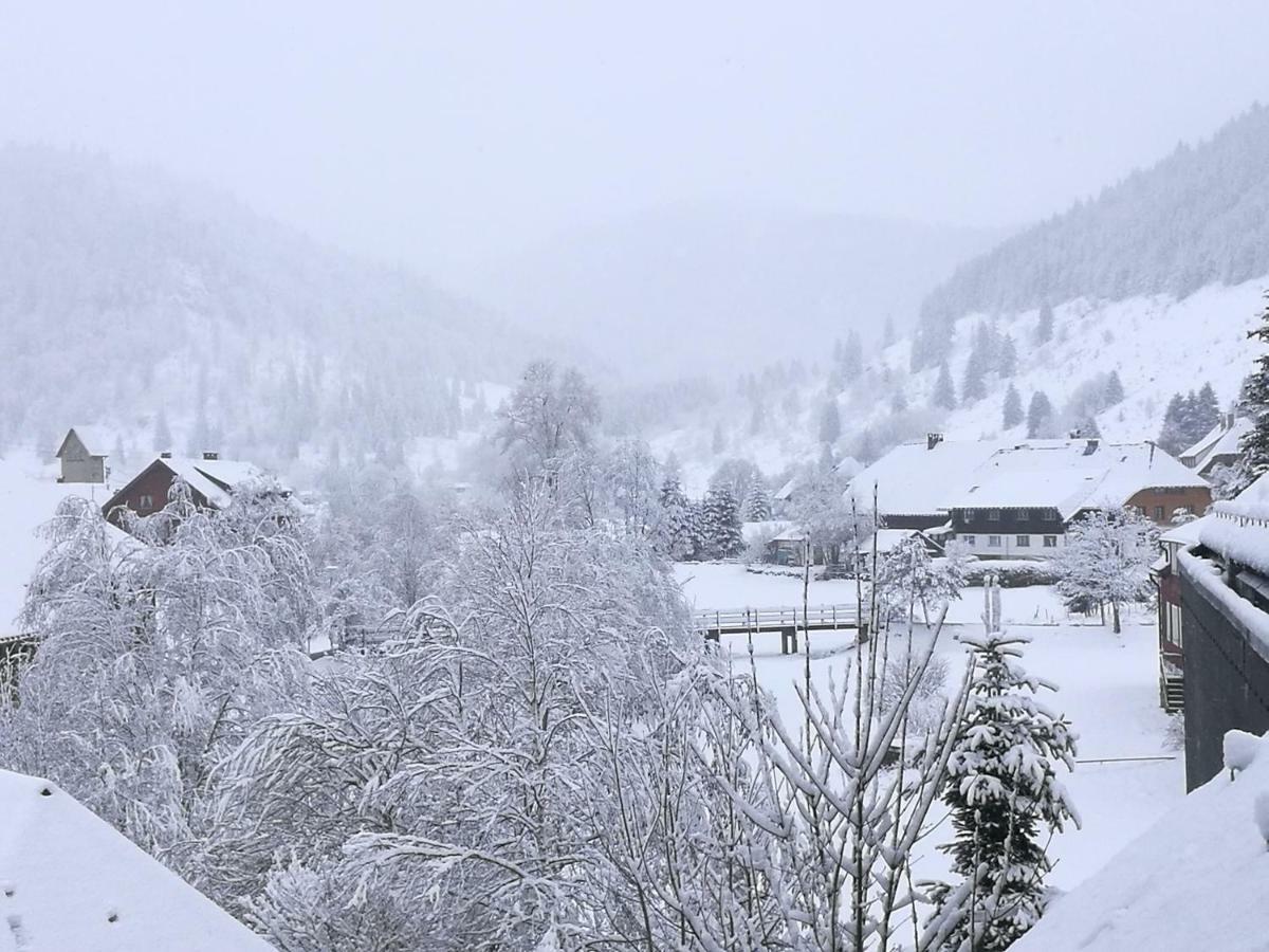 B1 Albmatte-Fewo Sauna, Hallenbad Aussenbecken Massagen Nebenan Menzenschwand-Hinterdorf Kültér fotó