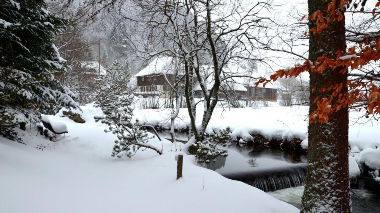 B1 Albmatte-Fewo Sauna, Hallenbad Aussenbecken Massagen Nebenan Menzenschwand-Hinterdorf Kültér fotó