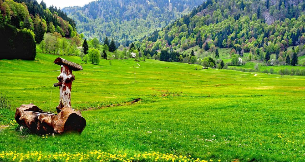 B1 Albmatte-Fewo Sauna, Hallenbad Aussenbecken Massagen Nebenan Menzenschwand-Hinterdorf Kültér fotó